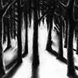 Lunar Aurora - Seelenfeuer